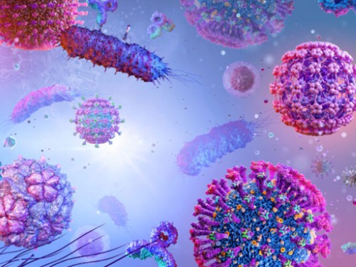 7 points clés : VRS, un virus « vie entière »